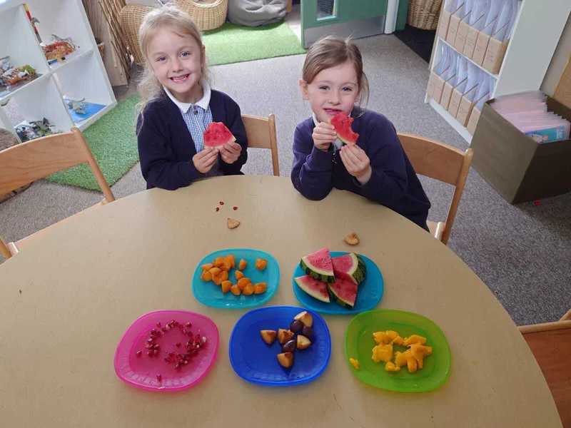 The Very Hungry Caterpillar Fruit Tasting - image 12 The Very Hungry Caterpillar Fruit Tasting - image 12