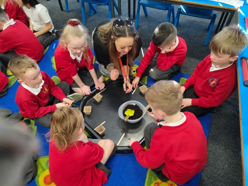 Gallery - created at 2025-05-18 08:27:35 - image 8