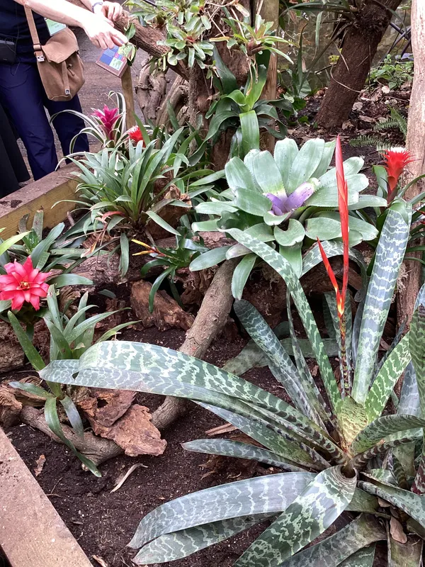 Gallery - created at 2025-03-14 10:11:21 - image 25 Gallery - created at 2025-03-14 10:11:21 - image 25