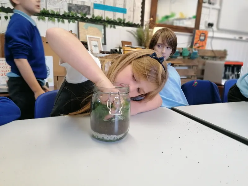 Gallery - created at 2020-10-19 15:54:26 - image 7