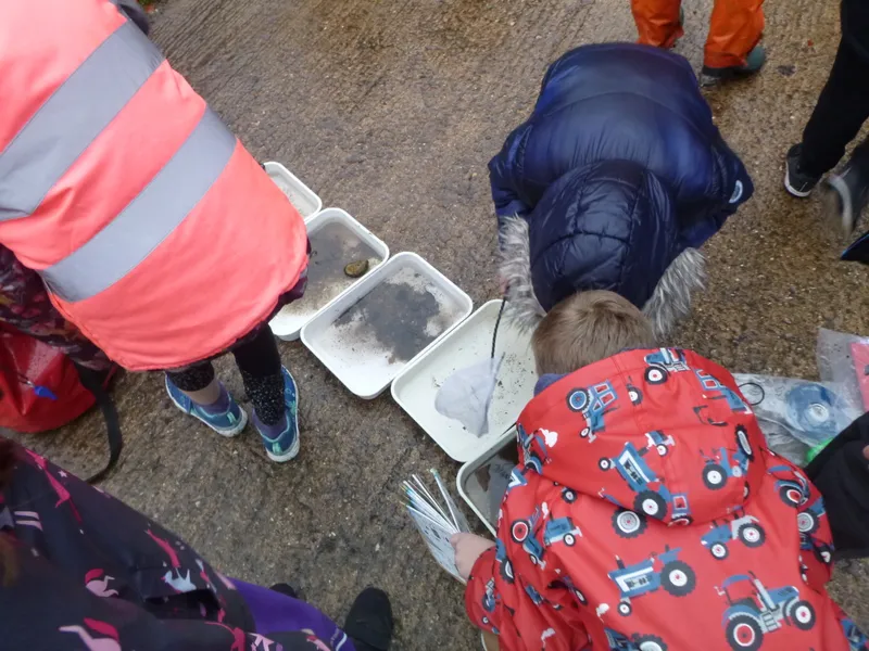 Gallery - created at 2019-12-16 15:12:33 - image 5