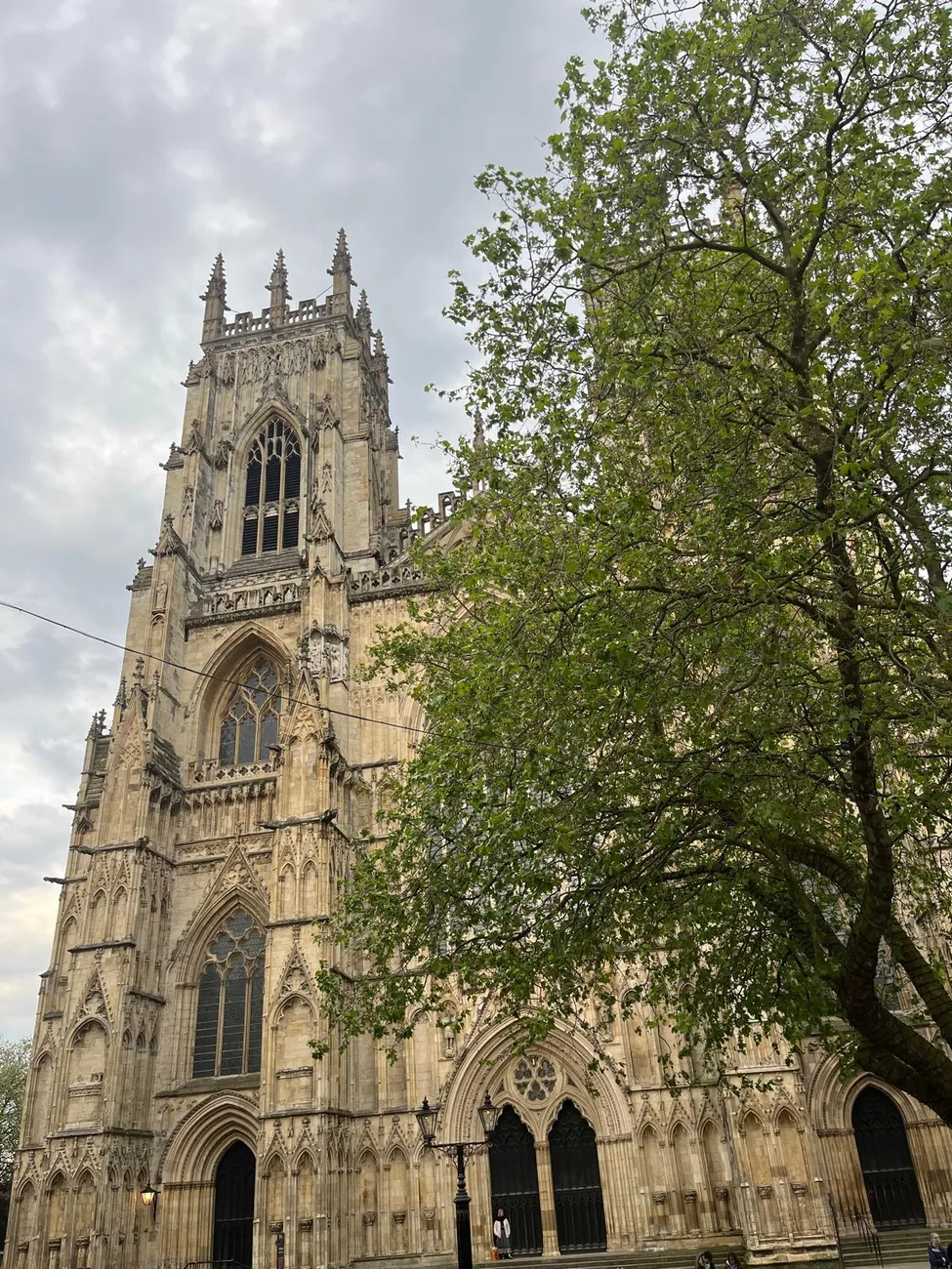 Gallery - created at 2024-06-06 15:11:55 - image 46