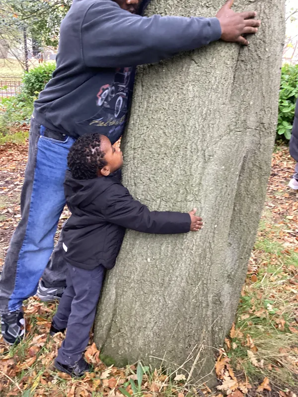 Gallery - created at 2024-11-08 10:10:59 - image 65 Gallery - created at 2024-11-08 10:10:59 - image 65