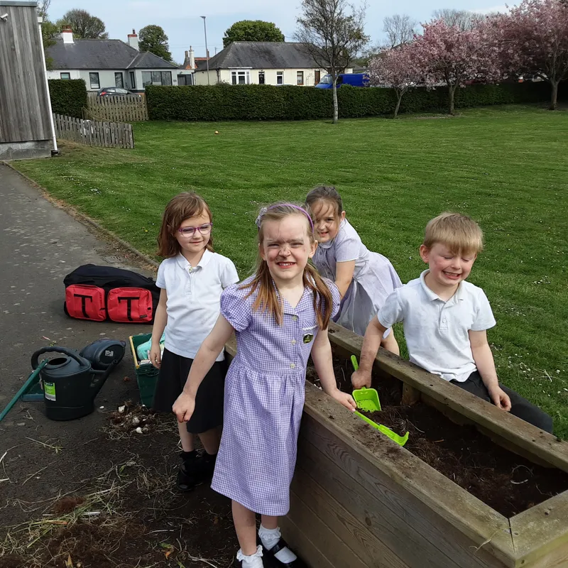 Gallery - created at 2025-06-23 10:33:29 - image 1 Gallery - created at 2025-06-23 10:33:29 - image 1