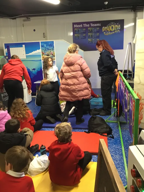 Year 5 Sealife Centre  - image 64