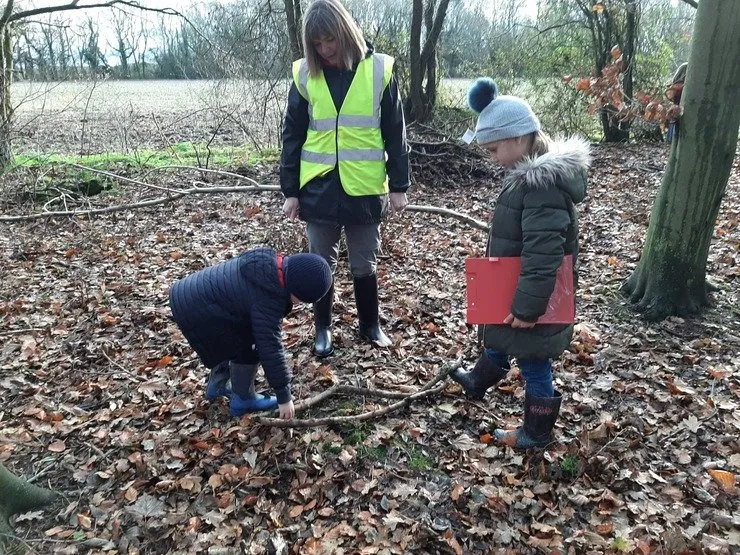 Gallery 7 - image 33