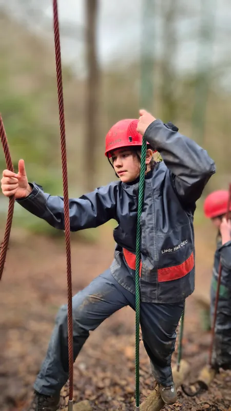 Gallery - created at 2025-02-26 20:19:52 - image 65