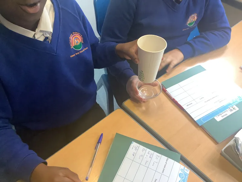 Y6 Science Heart - image 2
