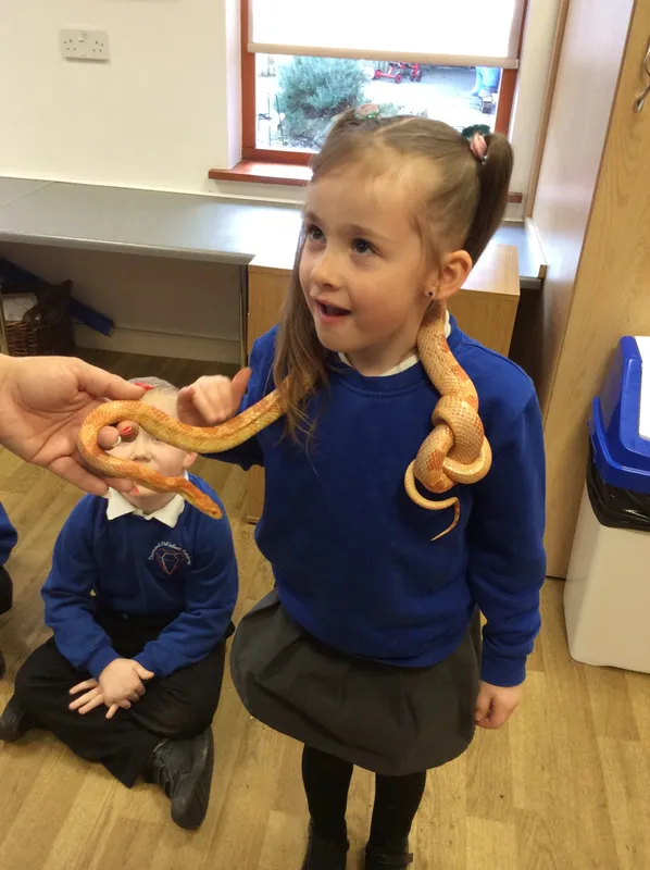 Gallery - created at 2024-02-26 17:15:57 - image 40 Gallery - created at 2024-02-26 17:15:57 - image 40