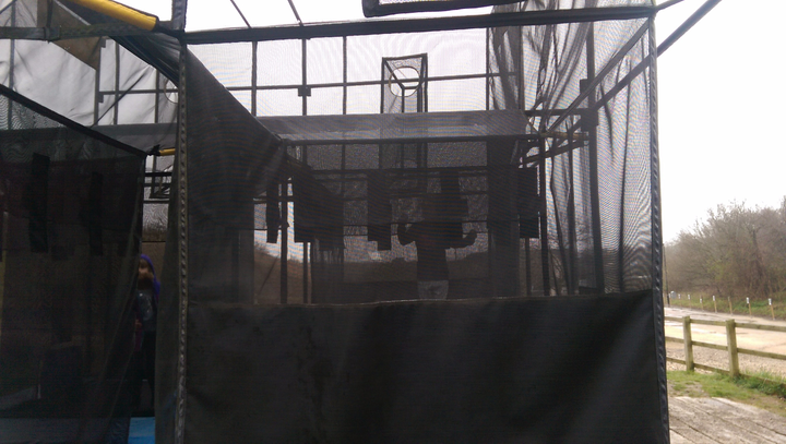 IMAG0071.jpg