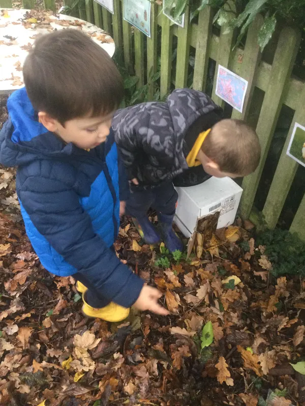 Making a hedgehog house - image 3 Making a hedgehog house - image 3