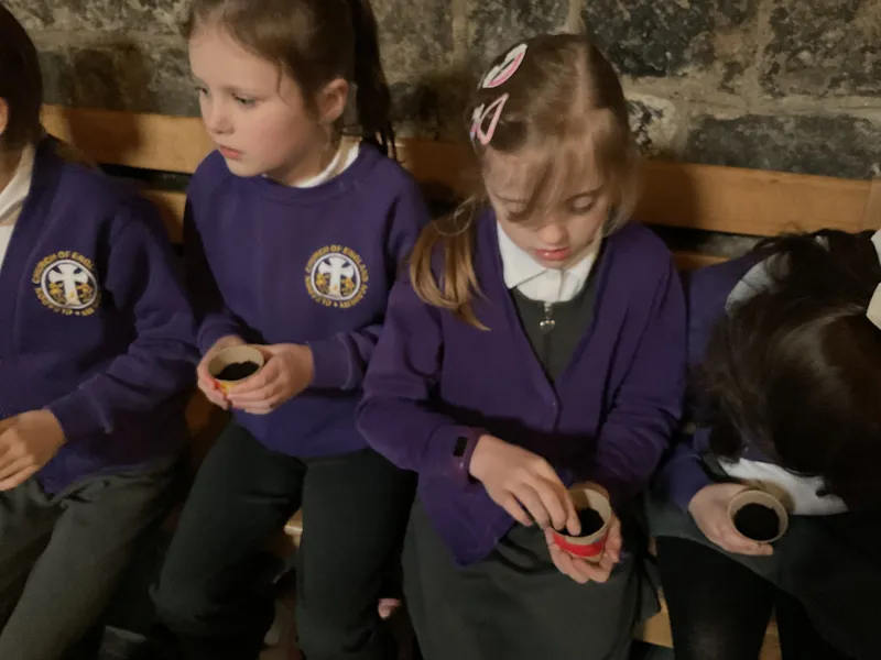 Gallery - created at 2025-02-07 13:16:19 - image 14