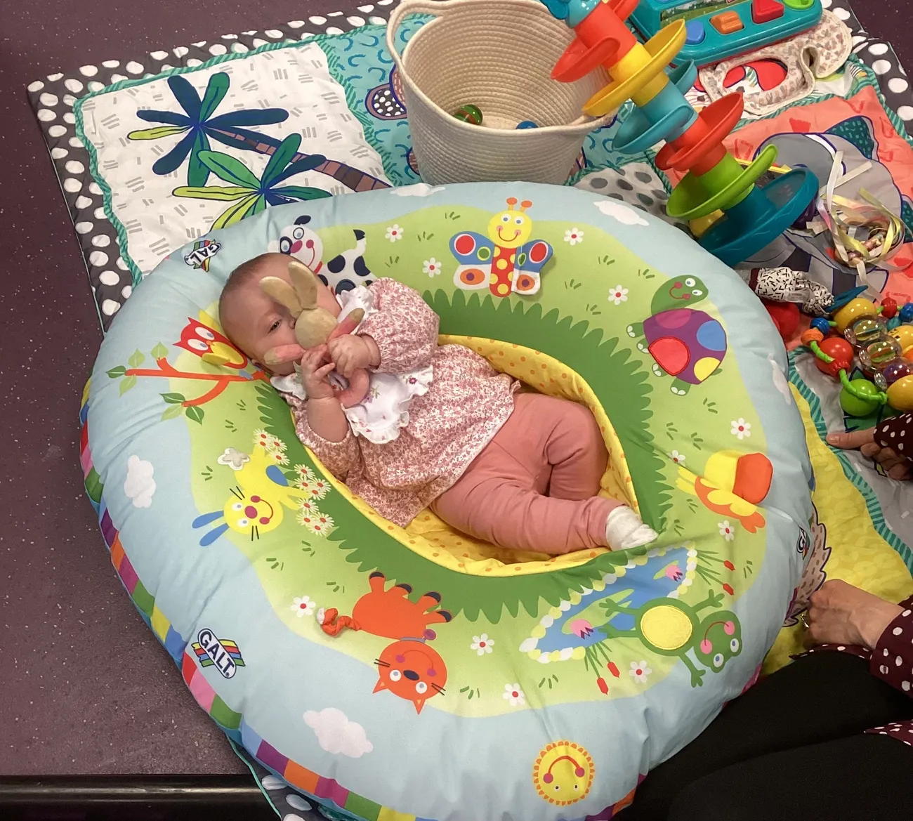 Gallery - created at 2024-03-08 10:58:01 - image 3