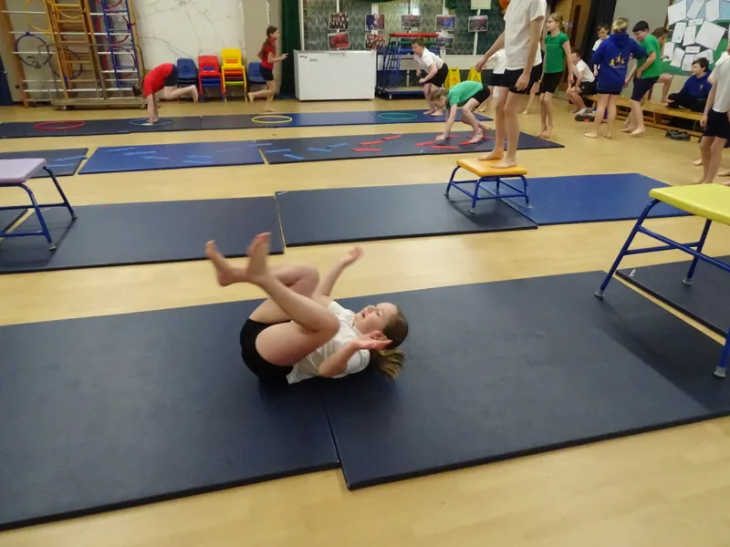 Ospreys Gymnastics Skills - image 2 Ospreys Gymnastics Skills - image 2