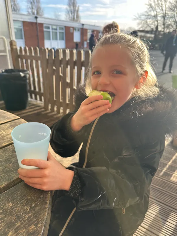 Tesco Fruit & Veg Scheme - image 14 Tesco Fruit & Veg Scheme - image 14