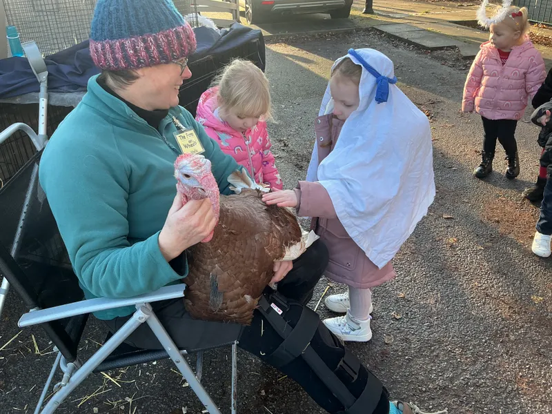 Stella farm on wheels Part 1 - image 29