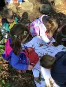 Forest School 104 - image 1 Forest School 104 - image 1