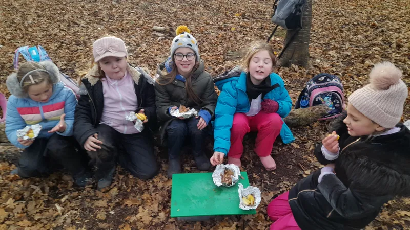 Forest School sessions - image 1 Forest School sessions - image 1