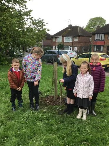 Gallery - created at 2024-12-05 13:35:53 - image 12 Gallery - created at 2024-12-05 13:35:53 - image 12