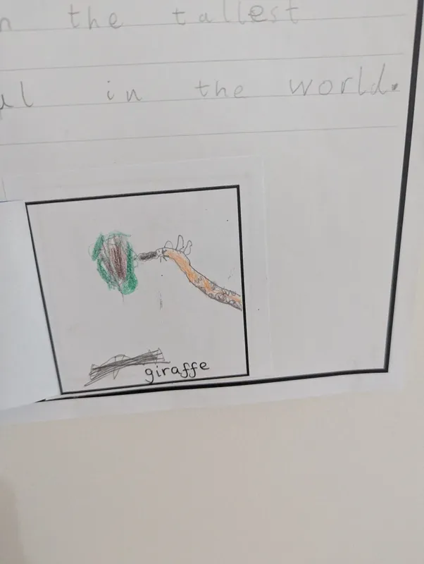 What animal am I? - image 16