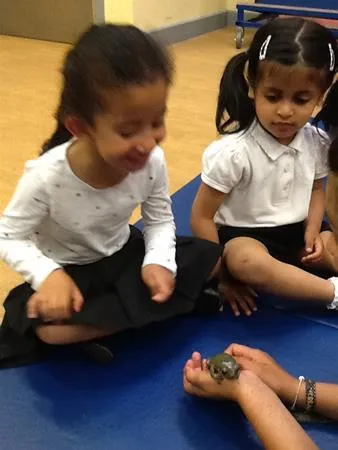 Nursery's visit from the Tropical Zoo - image 3