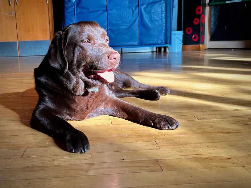 Gallery - created at 2021-06-30 13:57:57 - image 12