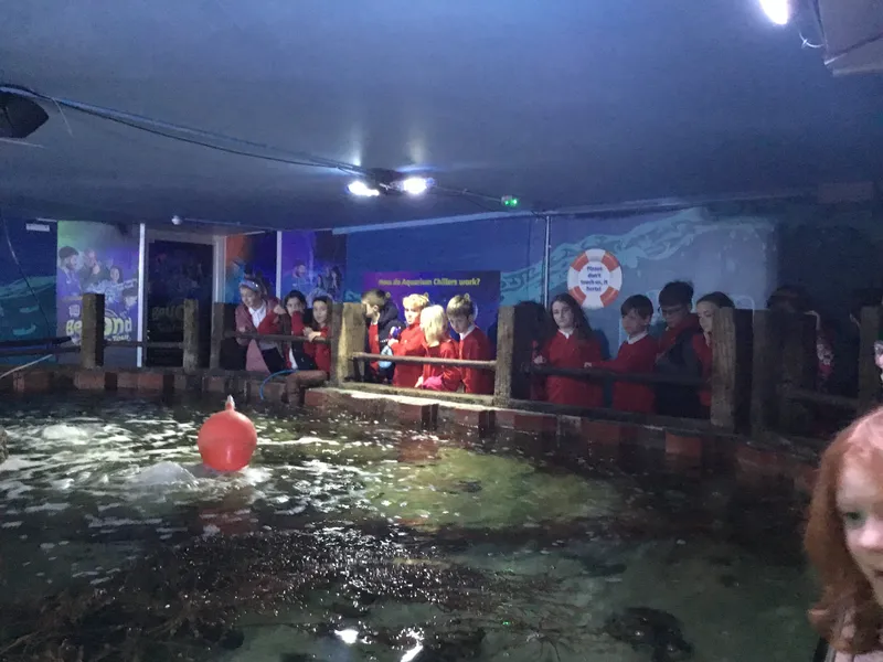 Year 5 Sealife Centre  - image 24