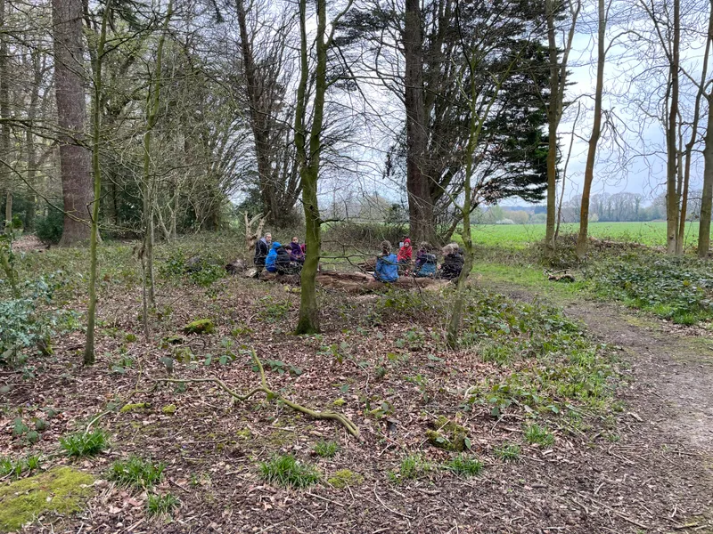 Gallery - created at 2023-04-22 12:49:31 - image 4 Gallery - created at 2023-04-22 12:49:31 - image 4