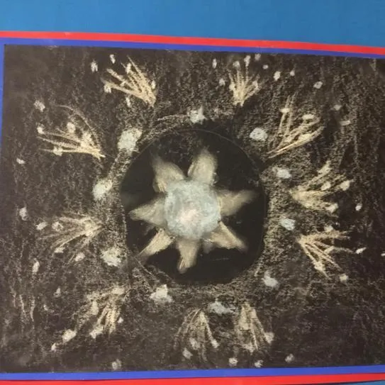 Gallery - created at 2020-11-25 11:41:31 - image 19