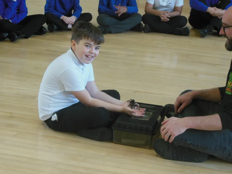 Y6 Reptile Rendezvous - image 6