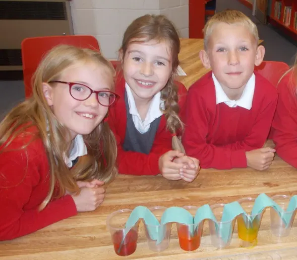 European Languages Day  Year 4 - image 5