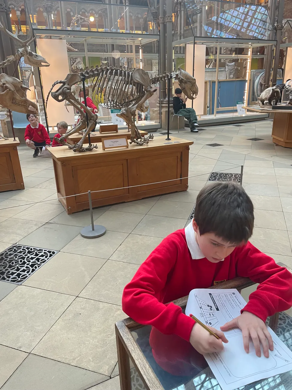 Gallery - created at 2024-02-24 14:03:51 - image 11