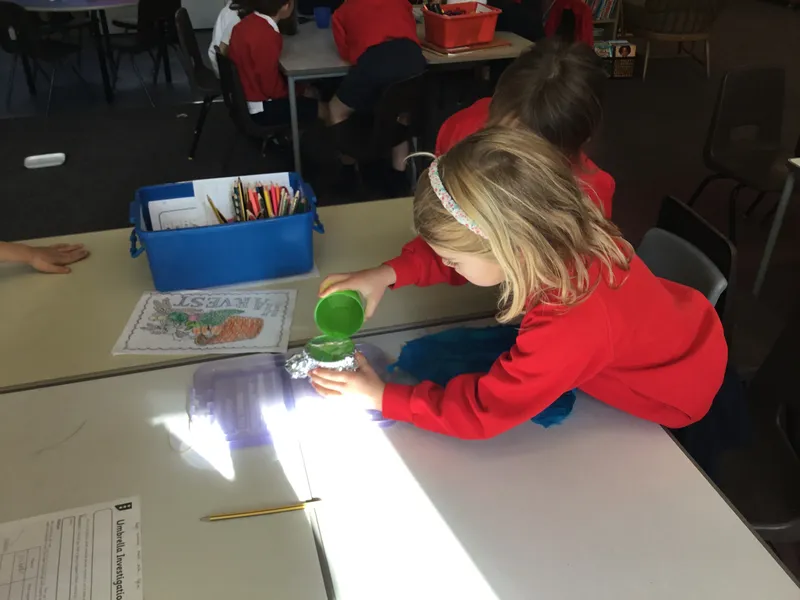 Gallery - created at 2022-10-17 12:19:33 - image 2