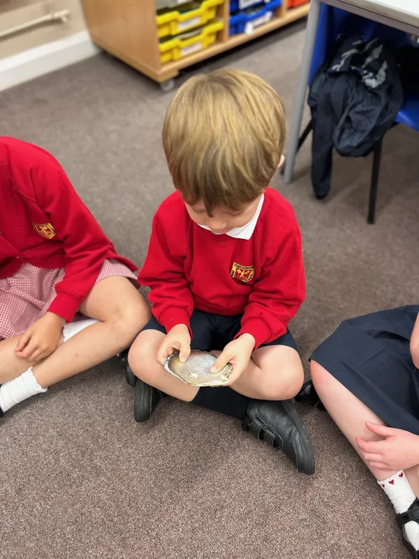 Gallery - created at 2025-09-11 17:05:02 - image 2