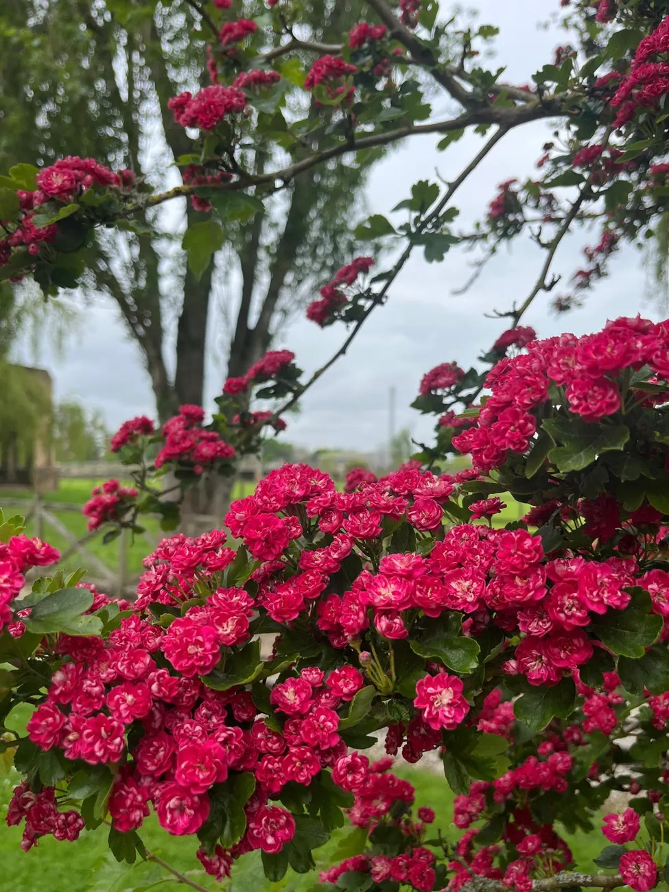 Gallery - created at 2024-06-06 15:03:55 - image 90