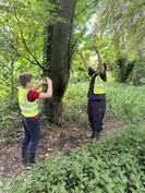 Forest School 66 - image 4 Forest School 66 - image 4