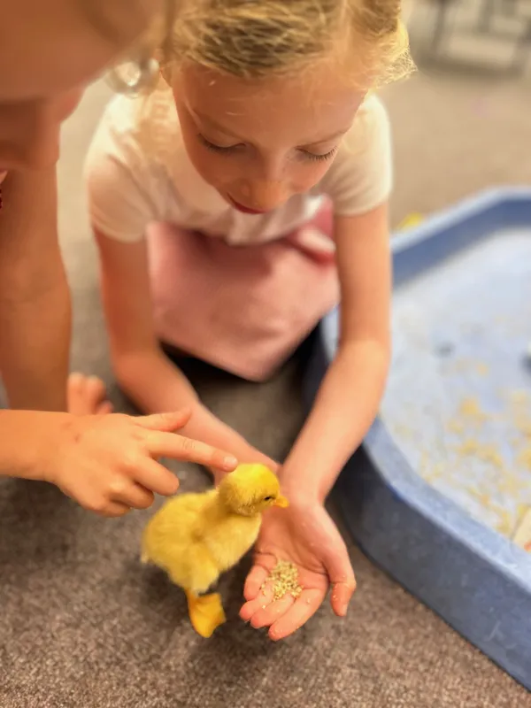 Gallery - created at 2025-05-23 15:26:33 - image 20