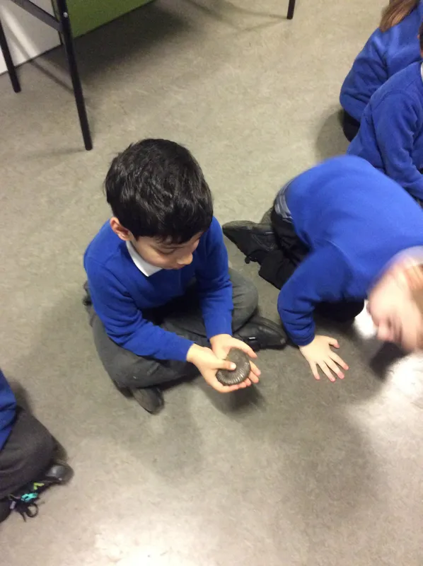 Gallery - created at 2024-02-15 10:35:32 - image 8 Gallery - created at 2024-02-15 10:35:32 - image 8