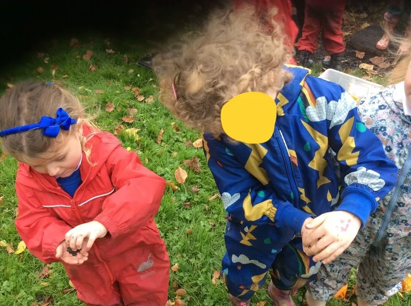 Old Class 1 Forest School - image 5