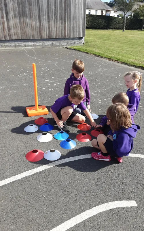 Gallery - created at 2024-09-26 10:18:37 - image 6 Gallery - created at 2024-09-26 10:18:37 - image 6