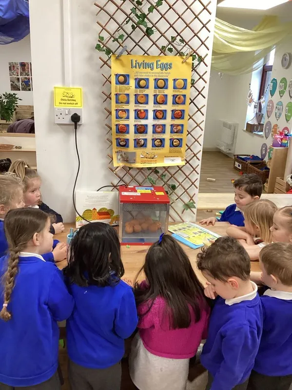 Gallery - created at 2024-07-04 16:12:30 - image 4