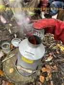 Forest School 54 - image 1 Forest School 54 - image 1