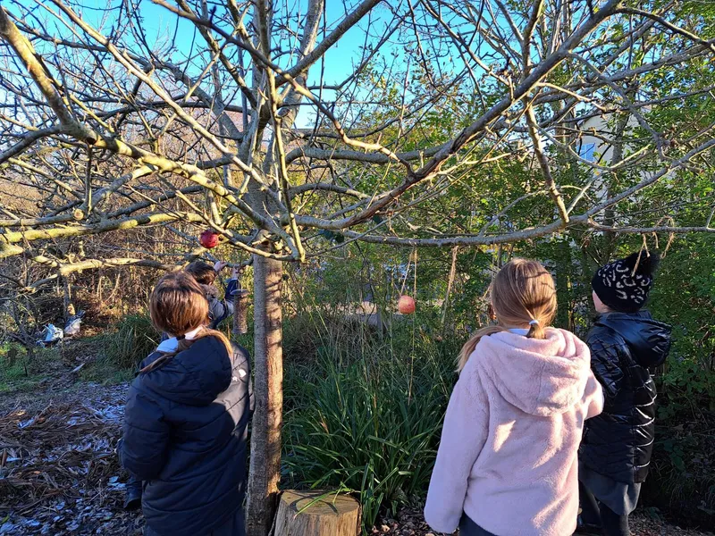 Year 5 and 6 pupils. - image 10