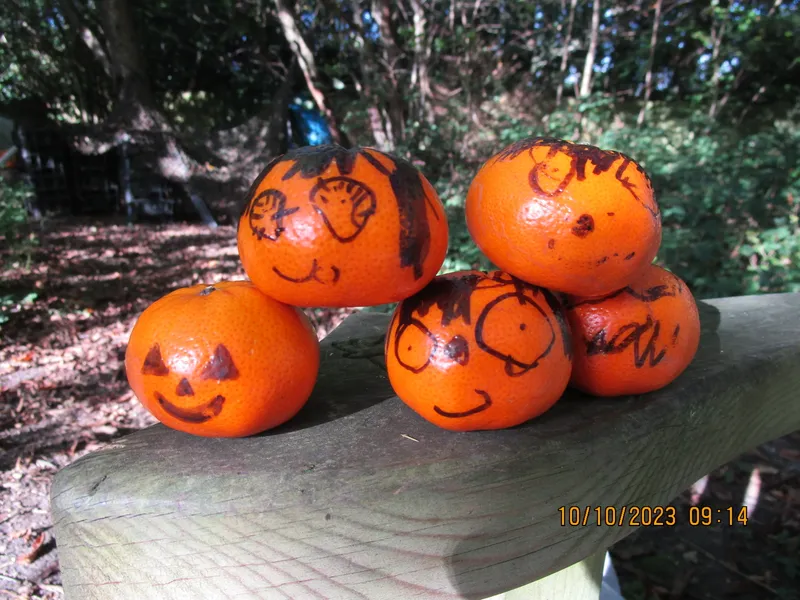 Gallery - created at 2024-01-02 10:06:26 - image 63
