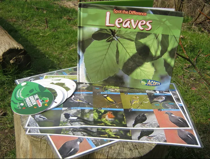 Forest School - image 10