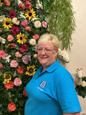 Butterfly team - image 2