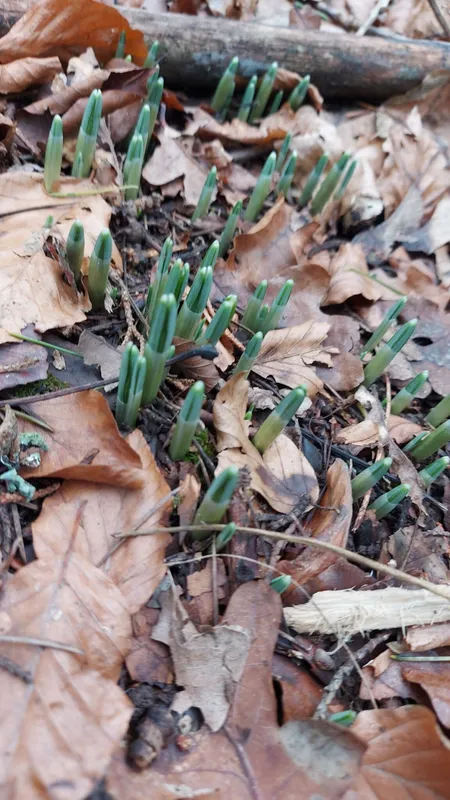 Gallery - created at 2023-01-11 15:51:49 - image 4