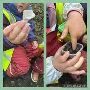 Forest School 31 - image 4 Forest School 31 - image 4