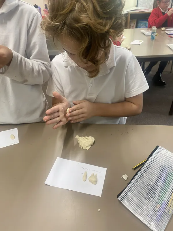 Gallery - created at 2025-11-14 14:33:38 - image 6 Gallery - created at 2025-11-14 14:33:38 - image 6