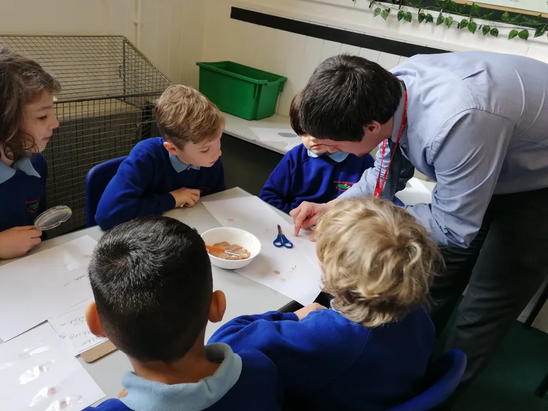 Gallery - created at 2021-03-14 14:39:05 - image 29